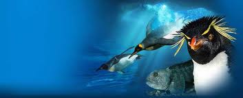La pêche lété le brochet